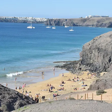 Terrace Close To Beaches